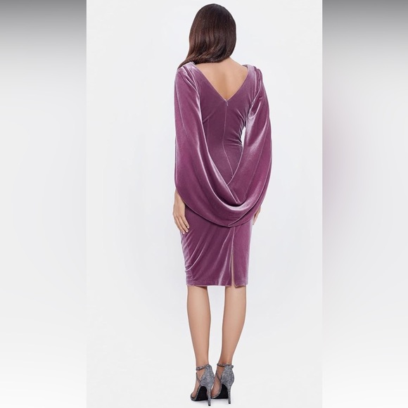 Betsy & Adam Rose Velvet Dress - Picture 9 of 14